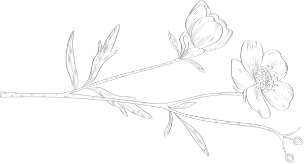 flower-left