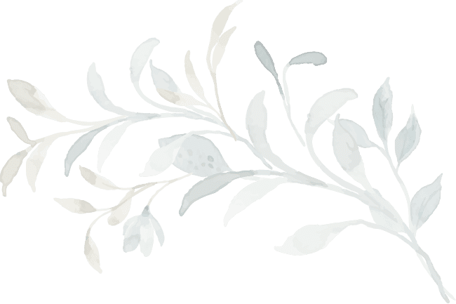 🌿